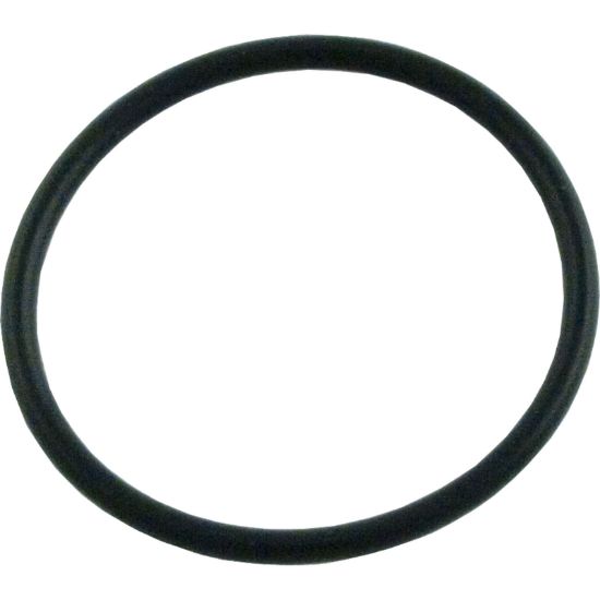 AX5010G19 O-Ring Hayward Phantom/Viper Cleaners In-Line Filter