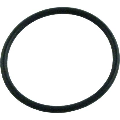 AX5010G19 O-Ring Hayward Phantom/Viper Cleaners In-Line Filter