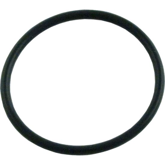 AX5010G19 O-Ring Hayward Phantom/Viper Cleaners In-Line Filter