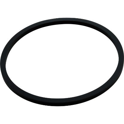  Gasket Trap Lid StaRite JS/LT Replacement Generic