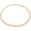  Gasket Sta-Rite CK Pump Seal Plate Generic