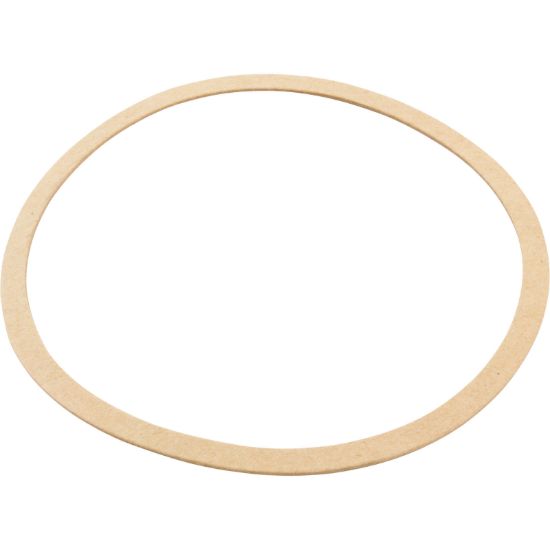  Gasket Sta-Rite CK Pump Seal Plate Generic