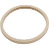 79101600Z Gasket Pentair AmerLite Light Lens 8-3/8"