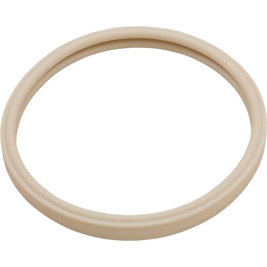 79101600Z Gasket Pentair AmerLite Light Lens 8-3/8"