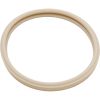 79101600Z Gasket Pentair AmerLite Light Lens 8-3/8"