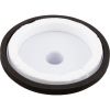 25573-100-000 Skim-Vac (Straight) Cmp With New Vacuum Plate Foam Seal