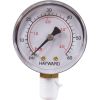 HCXFPGB1000 Pressure Gauge - 1/4