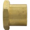 V34-121 Insert Nut Anthony Apollo DE Filter Shaft 0.5