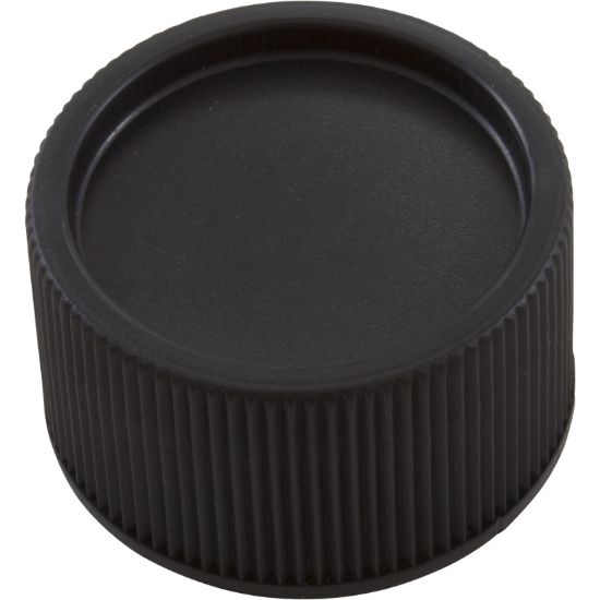 51516200 Drain Cap Pentair American Products Warrior/CC