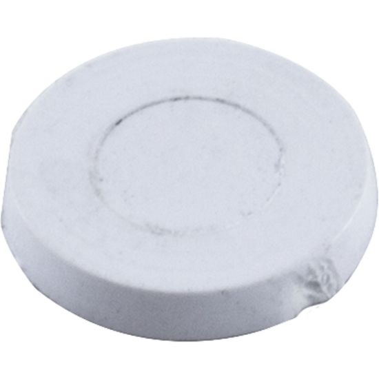 R172605 Screw Hole Plug Pentair Rainbow DSF/Safety Skimmer White