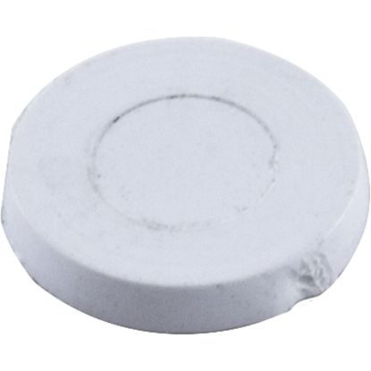 R172605 Screw Hole Plug Pentair Rainbow DSF/Safety Skimmer White