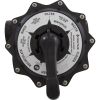 261185 Multiport Valve Pentair Tagelus TA 100D 2