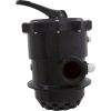 261185 Multiport Valve Pentair Tagelus TA 100D 2