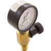 V55-110 Pressure Gauge/Air Release Assy Jandy CV SeriesBM Generic
