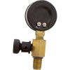 V55-110 Pressure Gauge/Air Release Assy Jandy CV SeriesBM Generic