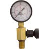 V55-110 Pressure Gauge/Air Release Assy Jandy CV SeriesBM Generic