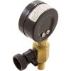 V55-110 Pressure Gauge/Air Release Assy Jandy CV SeriesBM Generic