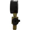  Pressure Gauge/Air Release Assy Jandy CV SeriesBM Generic