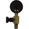  Pressure Gauge/Air Release Assy Jandy CV SeriesBM Generic