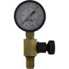  Pressure Gauge/Air Release Assy Jandy CV SeriesBM Generic