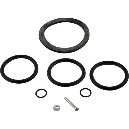 31B0024 O-Ring Kit Pentair Sta-Rite HRP 36 Slide Valve