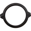 018215F Locking Clamp Raypak Protege RPSF