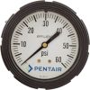B4616 Effluent Pressure Gauge Paragon Stark 0-60psi