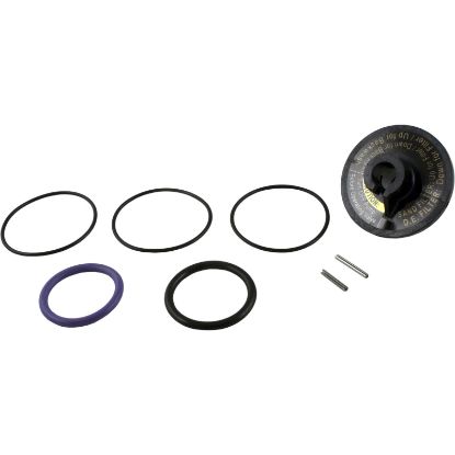 R0442100 Rebuild Kit Zodiac Jandy Slide Valve