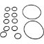 R0552400 O-Ring Kit Zodiac Jandy NeverLube Backwash Valve