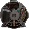 3410830-15HZW Pump WW E-Series2.0hp CenturyConv 1-Spd48fr1-1/2