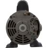 02593000-2010HZN Pump Circ Gecko AquaFlo CMCP 1/15hp US Motor115v 1-1/2"