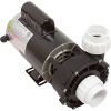 56WUA300-II  Pump LX 56WUA 3.0hp 230v 2-Spd 56 Frame   2 inch suction  This model LX pump is commonly used to replace Aqua Flo XP2e, 3.0 HP