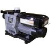 PD-140 Pump Waterway Power Defender Var-Spd PD-140 1.4hp115/230v