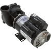 3421821-1A Pump WW Exec 4.5SPL 230v 2-Spd 48fr 2