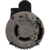 3712021-1VHZN Pump WW Viper5.0hp US Motor230v1Spd56fr2-1/2