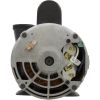  PumpWW Exec5.0hp230v1-Spd56fr2-1/2