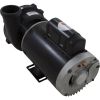 3721221-1DHZN Pump WW Exec 3.0hp US Motor 230v 2-Spd 56fr 2