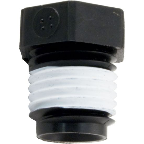 WC78-40T Plug Pentair Sta-Rite 1/4