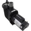 IG121-1200M-000 Pump Speck S90-IV 2.0hp 115v/230v 1-Spd Max Rate IG