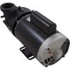 1016024HZW Pump BWG Vico Ultimax 3.0hp Century 230v 2-Spd 56fr2