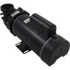  Pump BWG Vico Ultima 4.0hp Century 230v 2-Spd 48fr 2