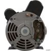  Pump BWG Vico Ultima 4.5SPL US Motor 230v 2-Spd48fr 2