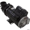  Pump BWG Vico Ultima 4.5SPL US Motor 230v 2-Spd48fr 2