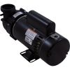  Pump BWG Vico Ultima 3.0hp 230v2-Spd48fr2
