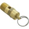 350087 Pressure Relief Valve Pentair EQ Series 1/4"