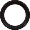 00648-0001 Lock Ring Astral Sprint 2000 US-1 Pump Lid