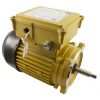 SPX2610Z1MTG Motor Hayward Super Pump 1.5 HP C FLG TEFC