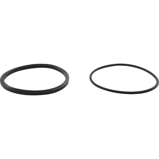 R0449100 Trap Lid Seal Zodiac Jandy PHPF with O-Ring