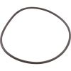 4405010437 O-Ring Astral Pump Strainer Lid