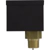 007142F Flow Switch Raypak Hi Delta Heaters